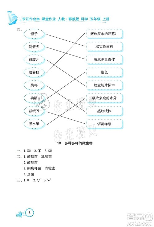 湖北教育出版社2021长江作业本课堂作业五年级科学上册人教鄂教版答案 湖北教育出版社2021长江作业本课堂作业五年级科学上册人教鄂教版答案