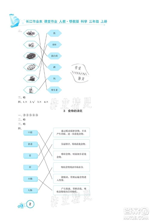 湖北教育出版社2021长江作业本课堂作业三年级科学上册人教鄂教版答案