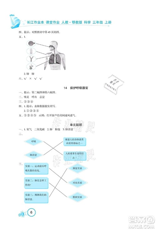 湖北教育出版社2021长江作业本课堂作业三年级科学上册人教鄂教版答案