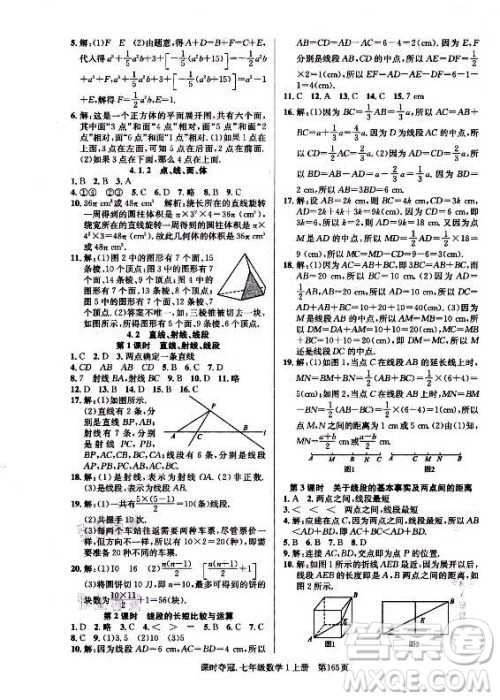 新世纪出版社2021课时夺冠数学七年级上册R人教版答案