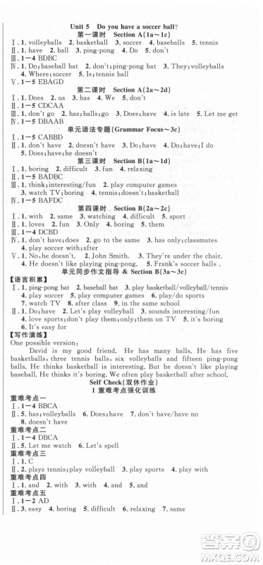 新世纪出版社2021课时夺冠英语七年级上册R人教版黄石专版答案 新世纪出版社2021课时夺冠英语七年级上册R人教版黄石专版答案