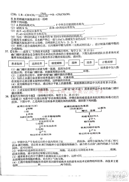 2022届广西普通高校摸底考试理科综合试题及答案 2022届广西普通高校摸底考试理科综合试题及答案