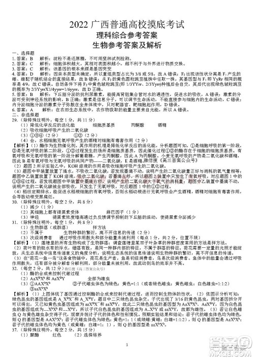 2022届广西普通高校摸底考试理科综合试题及答案 2022届广西普通高校摸底考试理科综合试题及答案