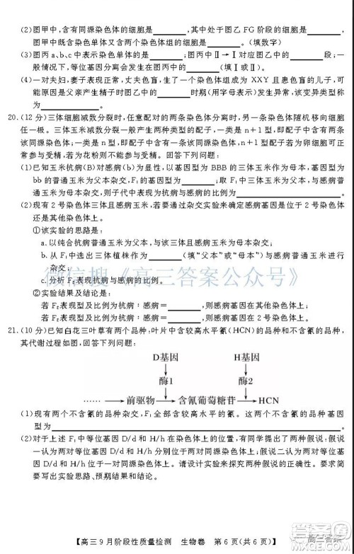 广东省普通高中2022届高三9月阶段性质量检测生物试题及答案 广东省普通高中2022届高三9月阶段性质量检测生物试题及答案