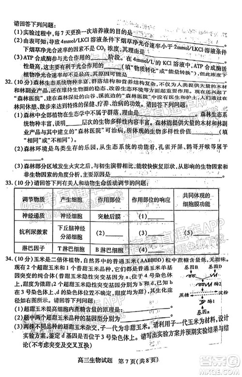 运城市2021年高三年级摸底调研测试生物试卷及答案