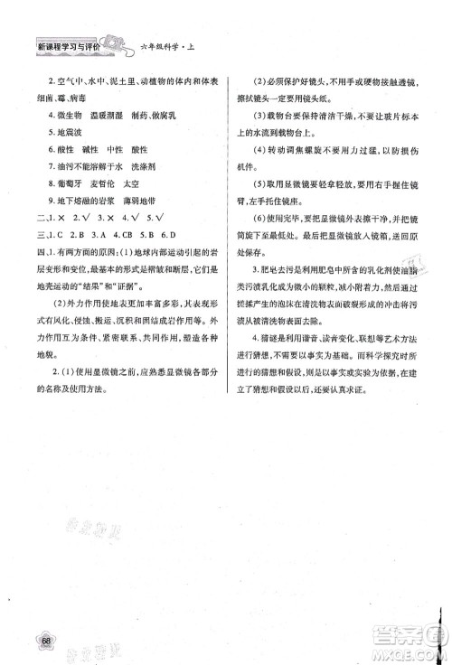 陕西人民教育出版社2021新课程学习与评价六年级科学上册B版苏教版参考答案
