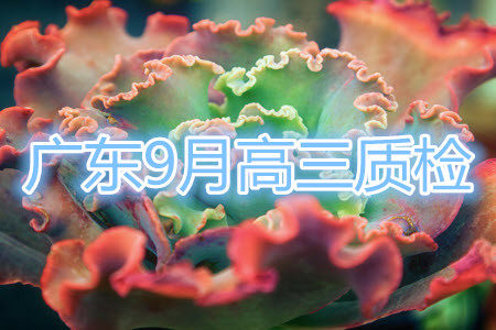 广东省普通高中2022届高三9月阶段性质量检测政治试题及答案