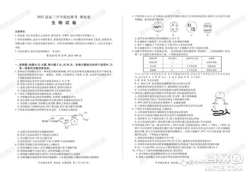 2022届高三开学摸底联考新高考I卷湖南卷生物试卷及答案 2022届高三开学摸底联考新高考I卷湖南卷生物试卷及答案