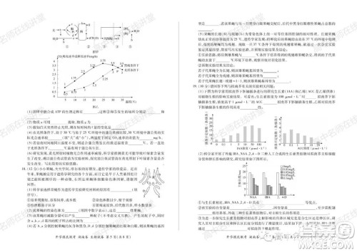 2022届高三开学摸底联考新高考I卷湖南卷生物试卷及答案