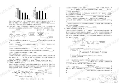 2022届高三开学摸底联考新高考I卷湖南卷生物试卷及答案