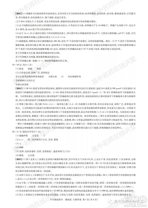 2022届高三开学摸底联考新高考I卷湖南卷生物试卷及答案 2022届高三开学摸底联考新高考I卷湖南卷生物试卷及答案