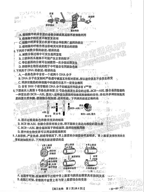 2022届邢台市高三入学考试生物试题及答案