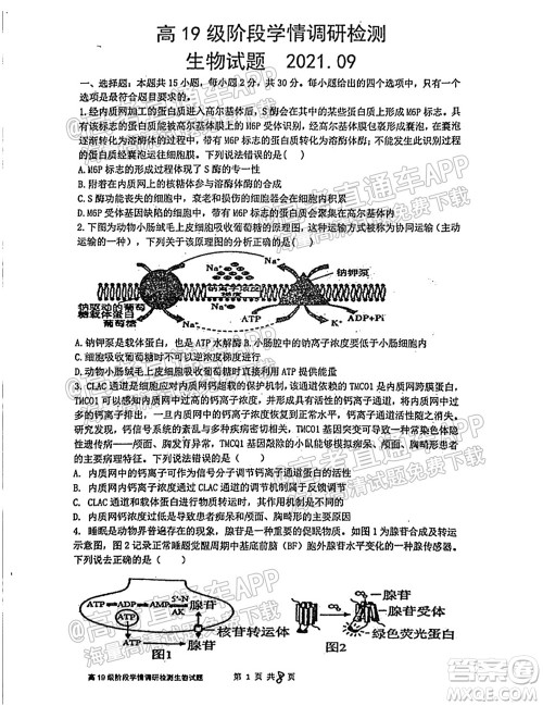 临沂高19级阶段学情调研生物试卷及答案