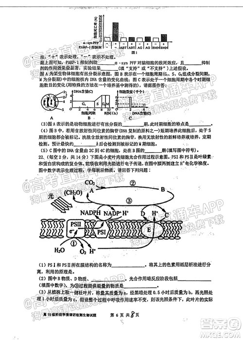 临沂高19级阶段学情调研生物试卷及答案 临沂高19级阶段学情调研生物试卷及答案