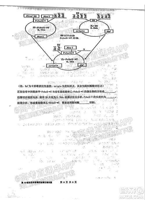 临沂高19级阶段学情调研生物试卷及答案