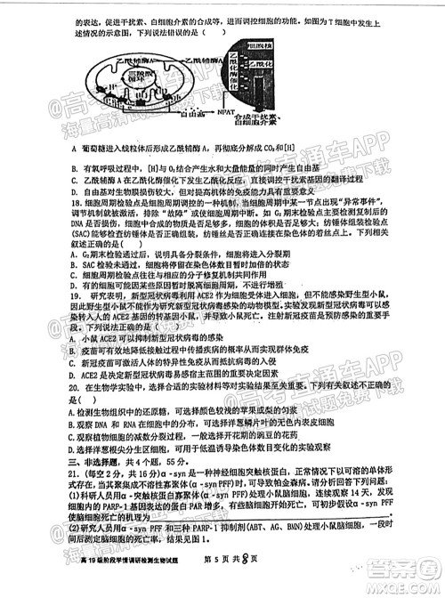 临沂高19级阶段学情调研生物试卷及答案