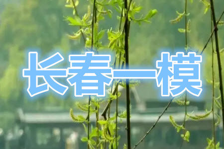 长春市2022届高三质量监测一文科数学试题及答案