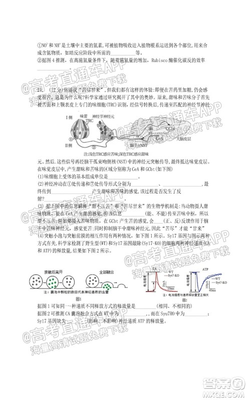 江苏省2022届百校联考高三年级第一次考试生物试题及答案 江苏省2022届百校联考高三年级第一次考试生物试题及答案