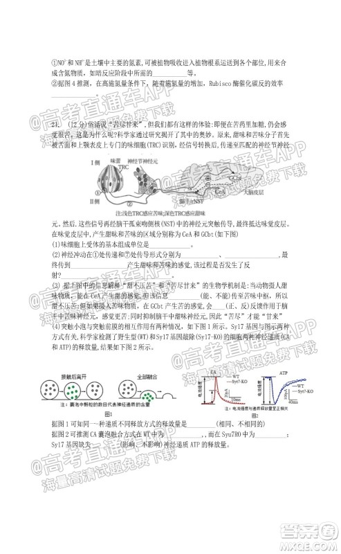 江苏省2022届百校联考高三年级第一次考试生物试题及答案