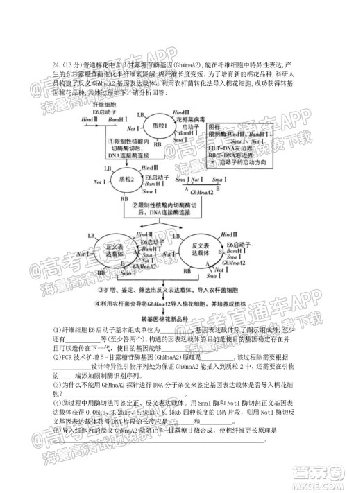 江苏省2022届百校联考高三年级第一次考试生物试题及答案