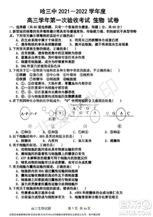 哈三中2021-2022学年度高三学年第一次验收考试生物试卷及答案