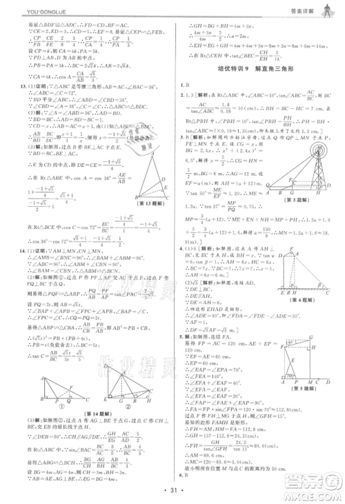 浙江人民出版社2021优+攻略九年级数学浙教版参考答案