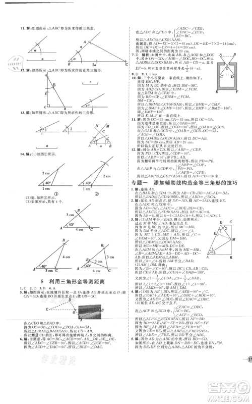 吉林教育出版社2021优+学案课时通七年级上册数学鲁教版参考答案