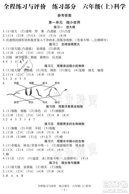 浙江人民出版社2021全程练习与评价六年级上册科学教科版答案
