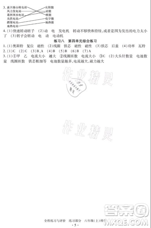 浙江人民出版社2021全程练习与评价六年级上册科学教科版答案