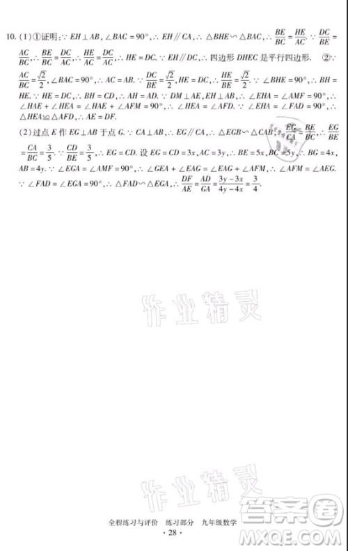 浙江人民出版社2021全程练习与评价九年级全一册数学浙教版答案