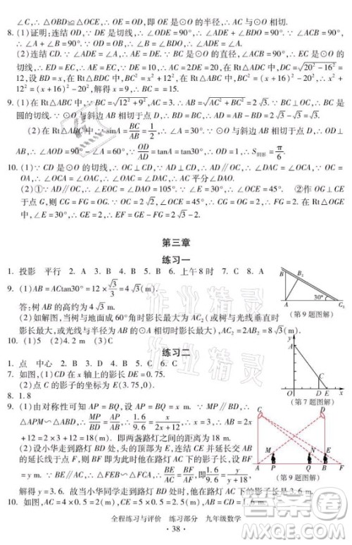 浙江人民出版社2021全程练习与评价九年级全一册数学浙教版答案