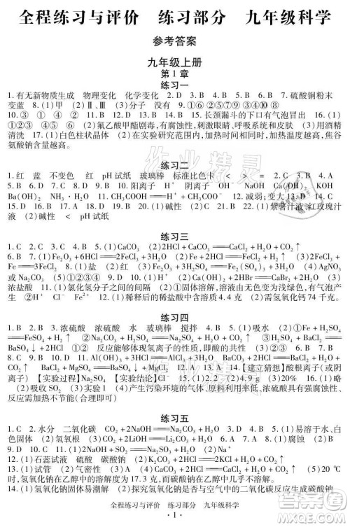 浙江人民出版社2021全程练习与评价九年级全一册科学浙教版答案 浙江人民出版社2021全程练习与评价九年级全一册科学浙教版答案