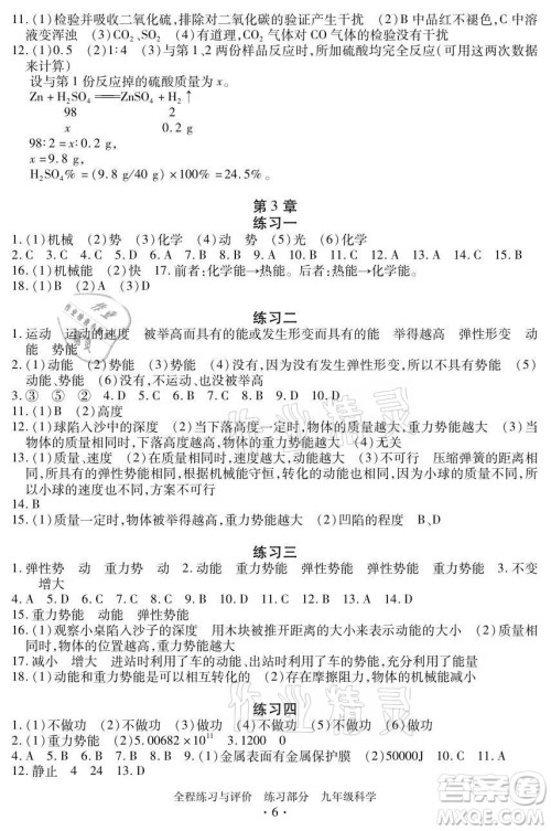 浙江人民出版社2021全程练习与评价九年级全一册科学浙教版答案 浙江人民出版社2021全程练习与评价九年级全一册科学浙教版答案
