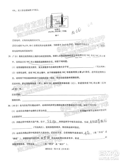 云南师大附中2022届高考适应性月考卷三理科综合试卷及答案