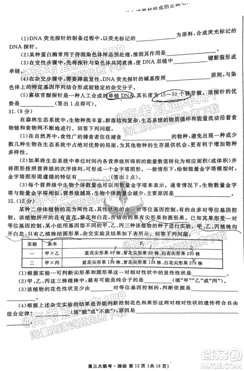 2022届四省名校高三第一次大联考理综试题及答案 2022届四省名校高三第一次大联考理综试题及答案