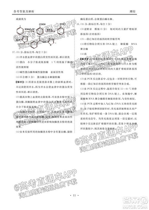 2022届四省名校高三第一次大联考理综试题及答案 2022届四省名校高三第一次大联考理综试题及答案