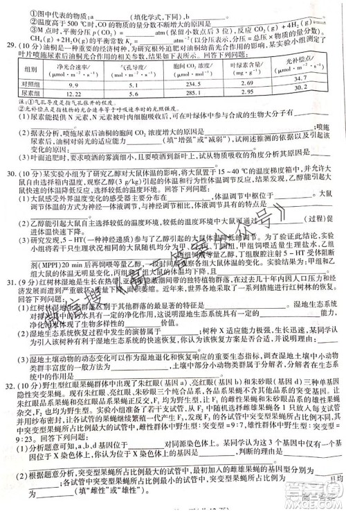 顶尖计划2022届高中毕业班第一次考试理科综合试题及答案