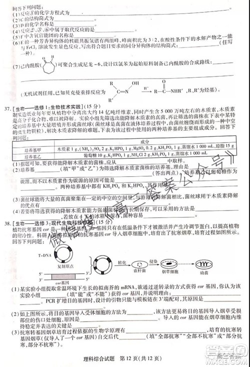 顶尖计划2022届高中毕业班第一次考试理科综合试题及答案