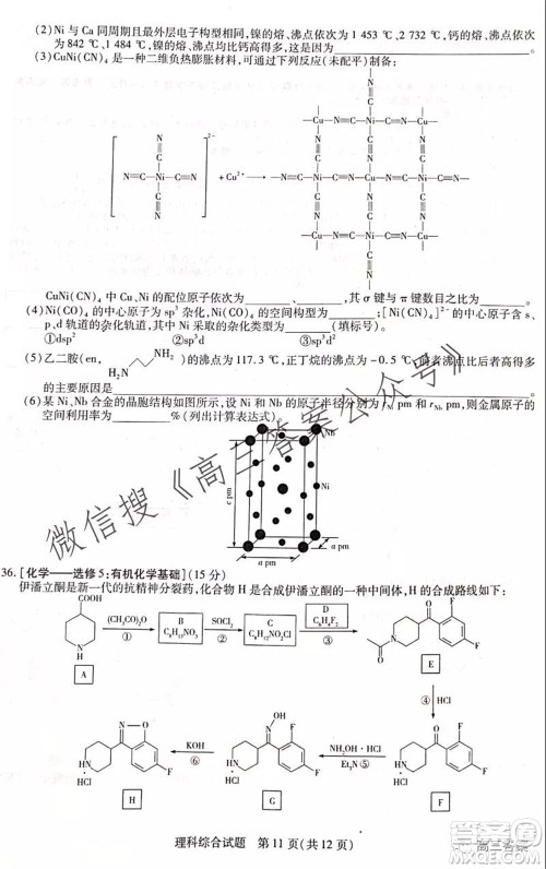 顶尖计划2022届高中毕业班第一次考试理科综合试题及答案