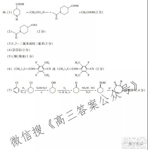 顶尖计划2022届高中毕业班第一次考试理科综合试题及答案