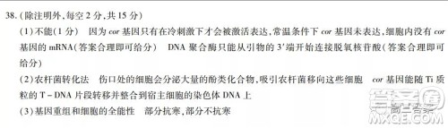 顶尖计划2022届高中毕业班第一次考试理科综合试题及答案