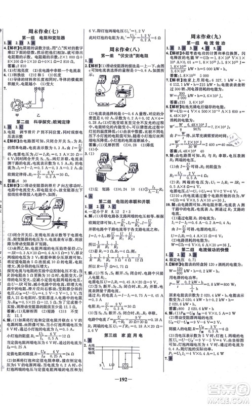 延边大学出版社2021世纪金榜百练百胜九年级物理全一册沪科版答案