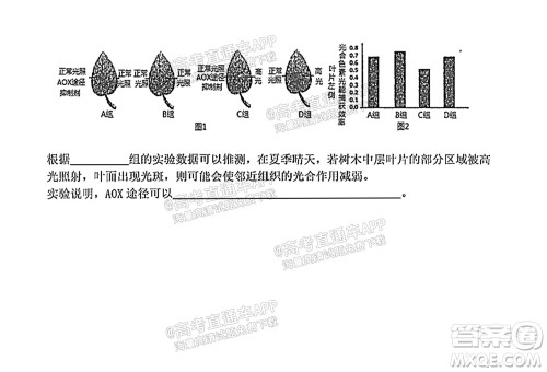 太原五中2021-2022学年度第一学期月考高三生物试题及答案