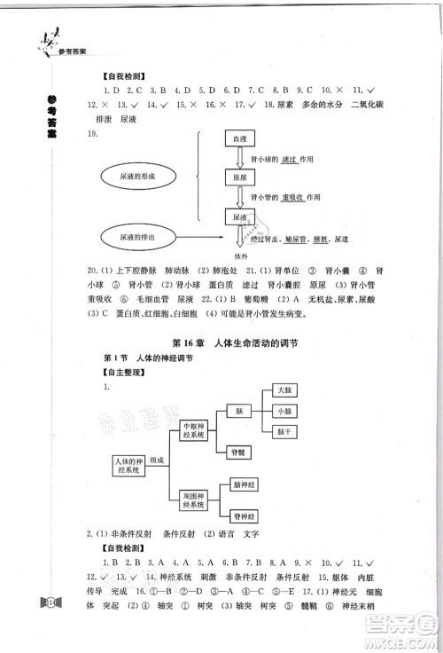 江苏凤凰教育出版社2021学习与评价八年级生物上册苏科版答案