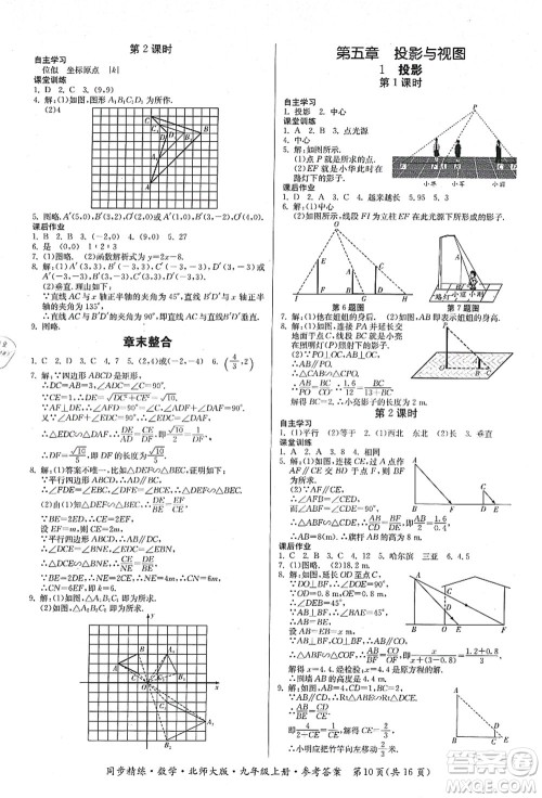 广东人民出版社2021同步精练九年级数学上册北师大版答案