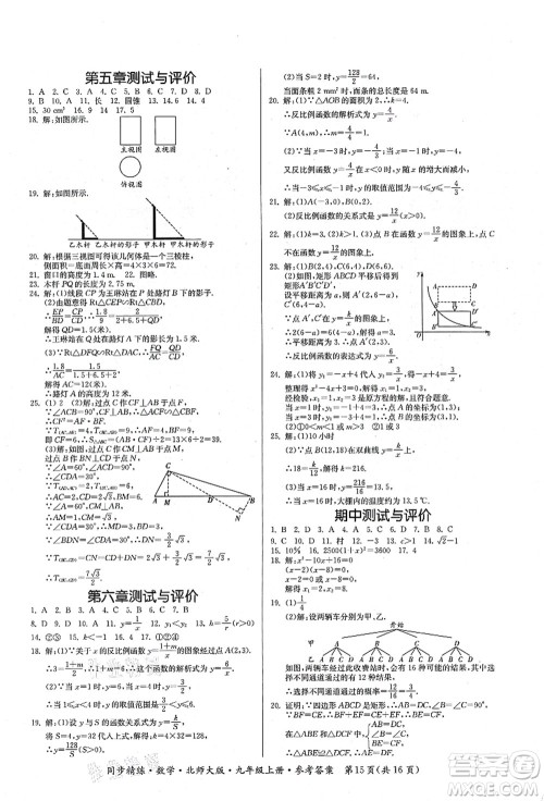 广东人民出版社2021同步精练九年级数学上册北师大版答案