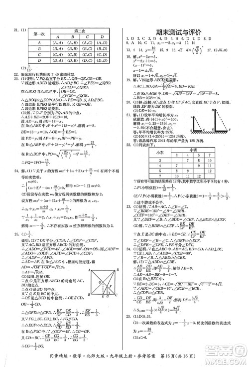 广东人民出版社2021同步精练九年级数学上册北师大版答案