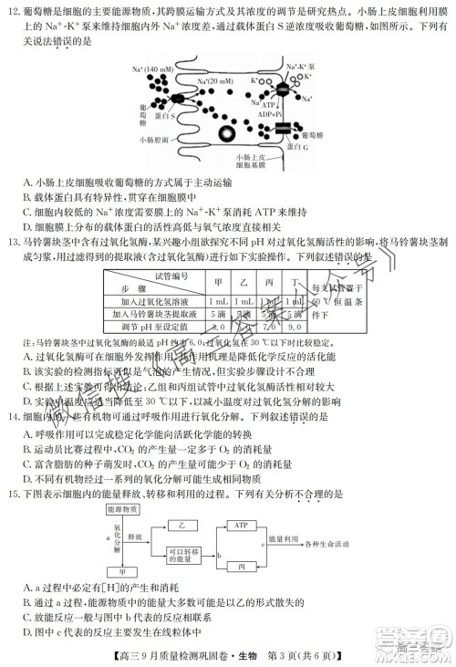 九师联盟2021-2022学年高三9月质量检测巩固卷生物试题及答案 九师联盟2021-2022学年高三9月质量检测巩固卷生物试题及答案