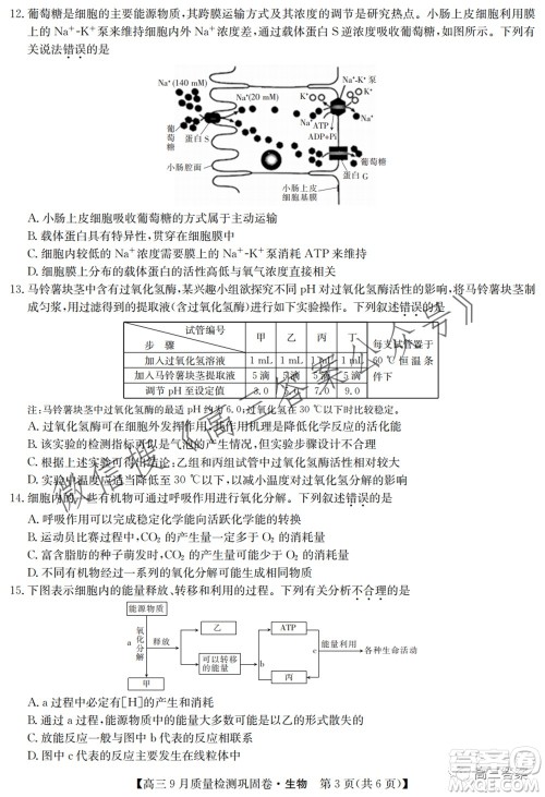 九师联盟2021-2022学年高三9月质量检测巩固卷生物试题及答案