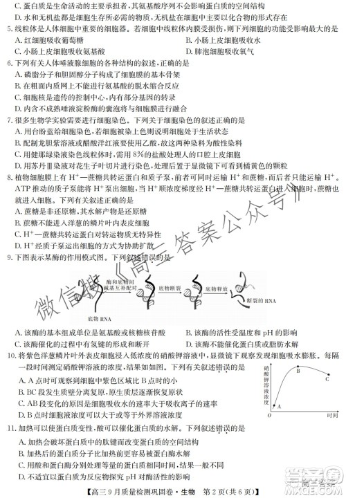 九师联盟2021-2022学年高三9月质量检测巩固卷生物试题及答案 九师联盟2021-2022学年高三9月质量检测巩固卷生物试题及答案